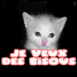 Chat "je veux des bisous" v2