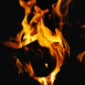 Feu de chemin�e