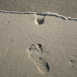 Pas dans le sable et la mer