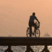 Cycliste � contre-jour sur la jet�e