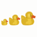 Canards en plastique � la queue-leu-leu