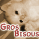 Chaton blanc sur le dos, s�pia, mention "Gros bisous"