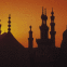 Mosqu�es