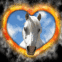 Cheval blanc dans coeur en feu