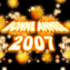 Feu d'artifice "Bonne ann�e 2007"