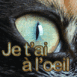Oeil de chat "Je t'ai � l'oeil"