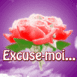 Rose "Excuse-moi..."