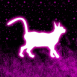 Chat n�on dans la nuit
