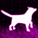 Chien n�on dans l'espace