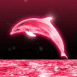 Dauphin n�on rose sautant hors de l'eau