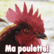 Poule "Ma poulette"