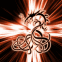 Dragon tribal dor�