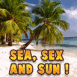 Plage et palmiers "Sea, sex and sun!"
