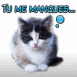 Chaton triste "Tu me manques..."