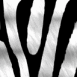 Peau de z�bre