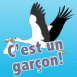 Cigogne "C'est un gar�on!"