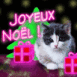 Chat de no�l fluo