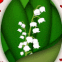 Brin de muguet