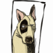 Chien avec un oeil noir