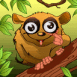 L�murien sur une branche