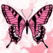 Papillon rose stylis�