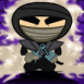 Ninja en tenue