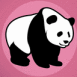 Panda sur fond rose