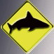 Attention aux requins