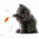 Chat et poisson rouge