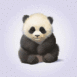 B�b� panda
