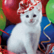 Chaton avec un chapeau