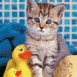 Chaton et canard de bain