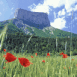 Montagne dominant une for�t
