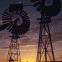 Eoliennes am�ricaines au cr�puscule