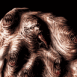 Monstre multi bouches