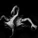Zombie scorpion