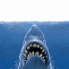 Requin montant en surface