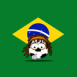 Br�sil: Drapeau et ballon de foot