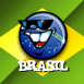 Smiley et drapeau br�silien