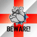Drapeau anglais et molosse
