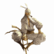 Vieux ninja sur une b�quille