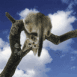 Chat � l'envers sur sa branche