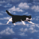 Chat �quilibriste