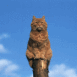 Chat roux sur un pilier