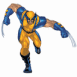 Wolverine court