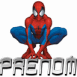 Spider-Man perso