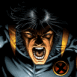 Wolverine tr�s furieux