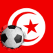 Tunisie: Drapeau et ballon encastr�
