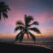 Palmiers sur une plage au cr�puscule