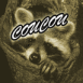 Raton laveur "coucou"